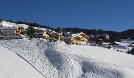 Logo Chalet La Flu