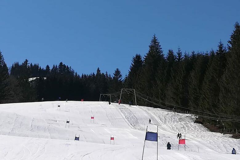 Riesenlehen
