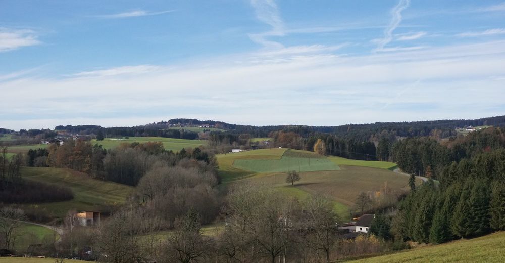 Single Kreis Alberndorf In Der Riedmark
