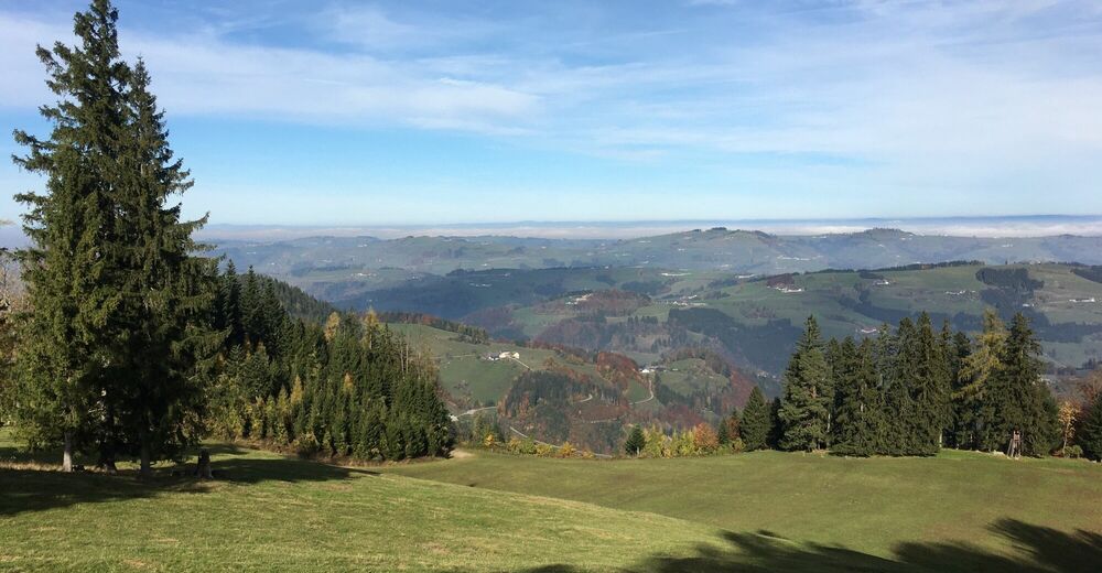 Vom Gschirr über die 7 Hügel zum Kranzer Spitz, Ybbsitz - BERGFEX - Wanderung - Tour ...