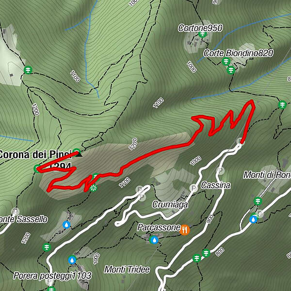 Ronco Sopra Ascona Corona Dei Pinci Bergfex Wanderung Tour Tessin