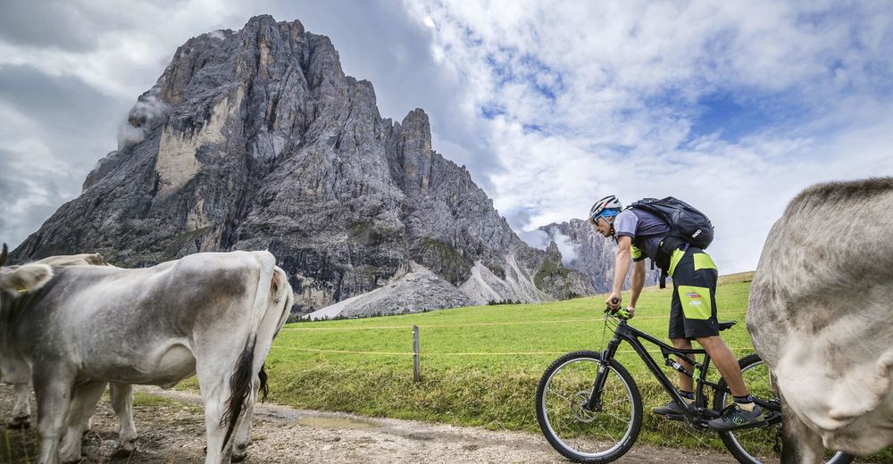sky bike shop