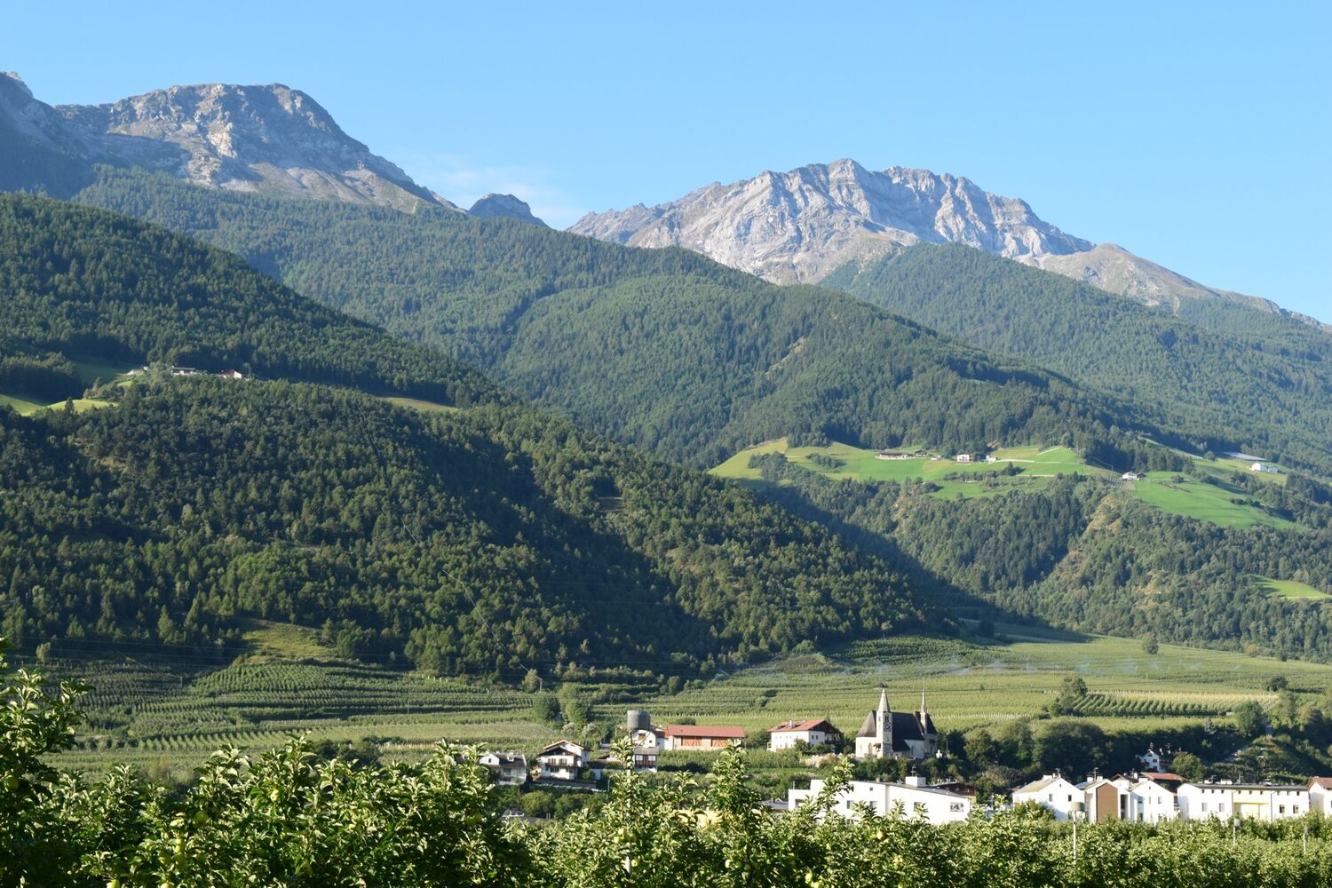 Göflan