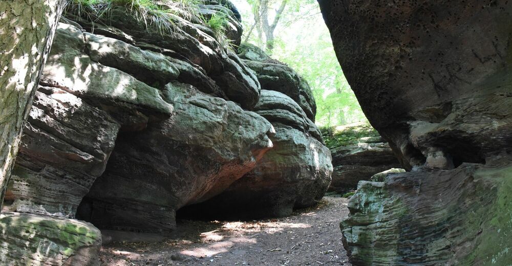 Reinhäuser Wald (Rundwanderung in der Gemeinde Gleichen durch den