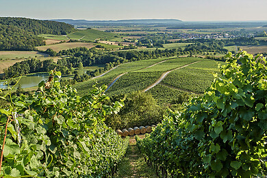 Steigerwald