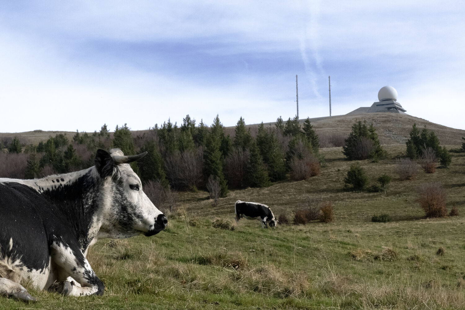 Région de Guebwiller