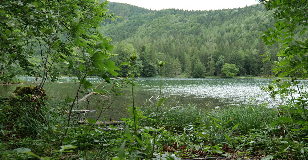 Bremsbeläge Vorne/hinten Für Suzuki GSF 600 - 3 Paare Semi-Metallic Set