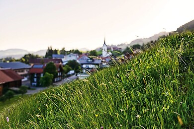 Riefensberg