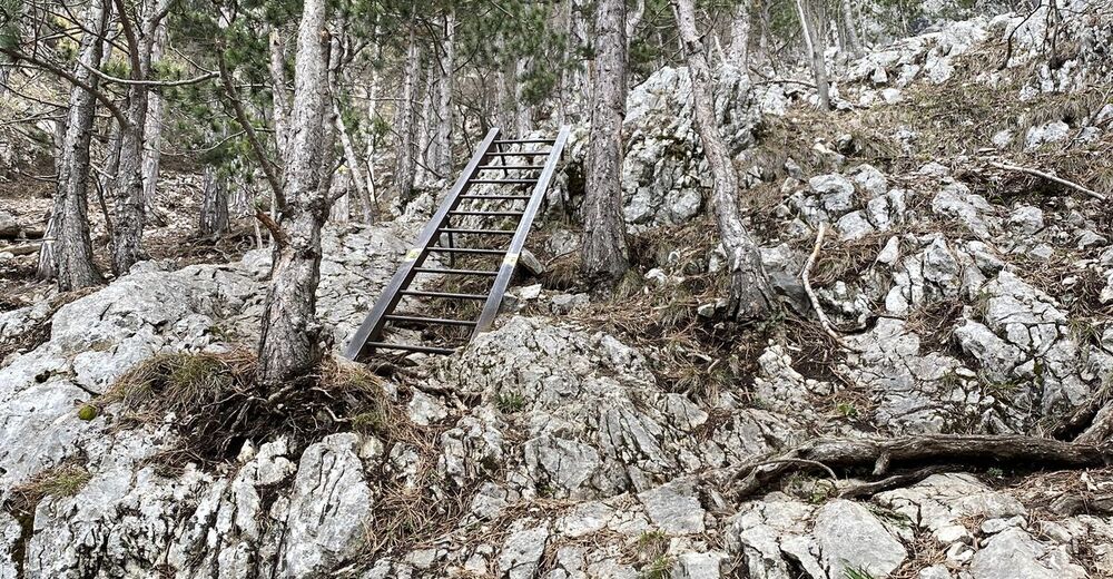 Hohe Wand Wagnersteig - Grafenbergweg Höflein an der Hohen Wand ...