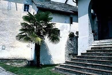 Biasca und Rivieratal