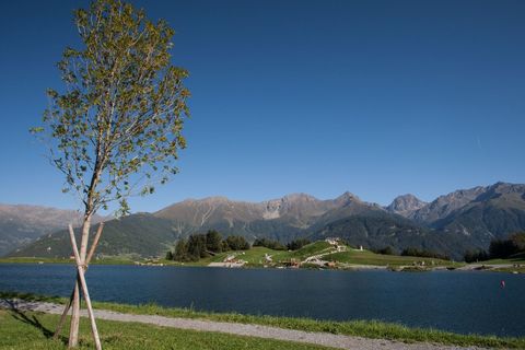 Wolfsee Fiss
