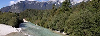 Bovec