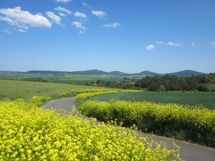 Hessisches Kegelspiel
