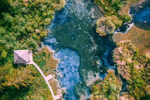 Zelenci natural reserve