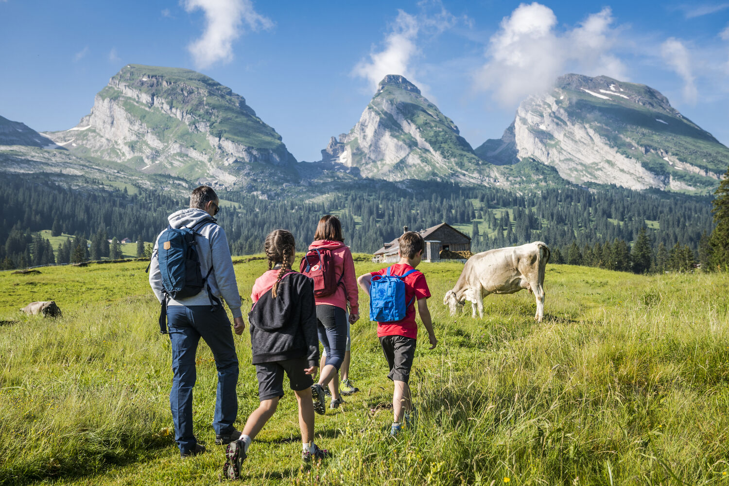 Ferienregion Toggenburg