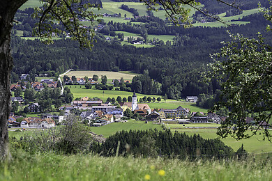 Miesenbach bei Birkfeld