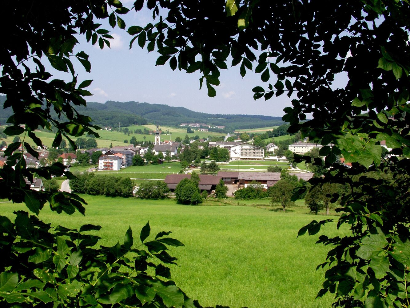 Ampflwang