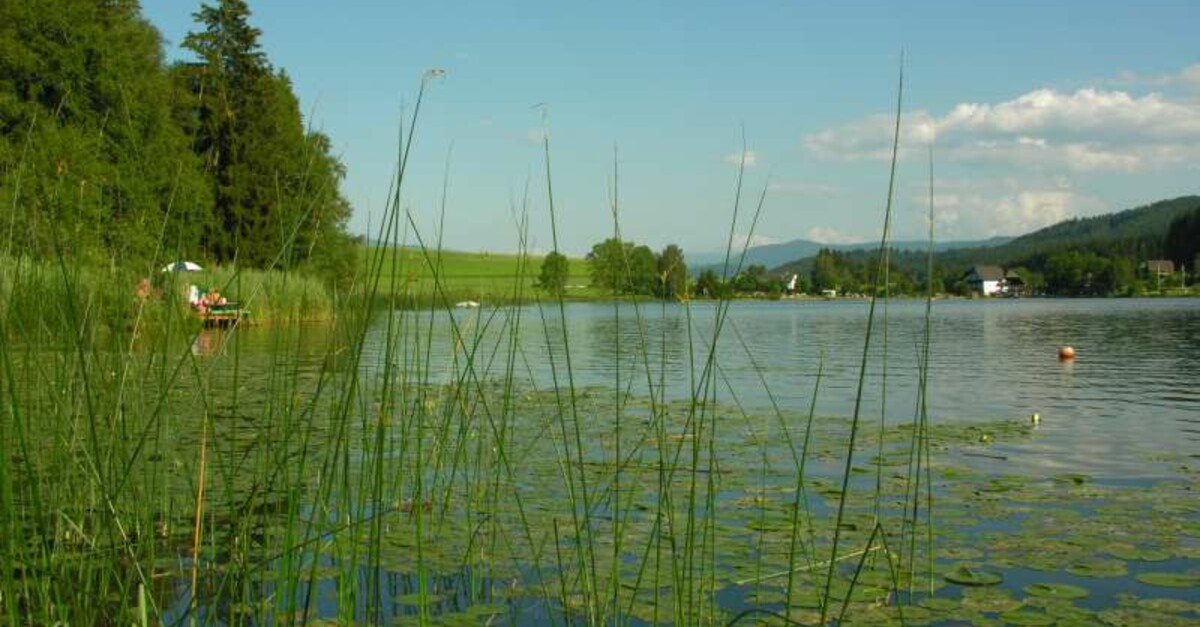 BERGFEXBadesee Furtner Teich Naturbadesee See Baden Schwimmen