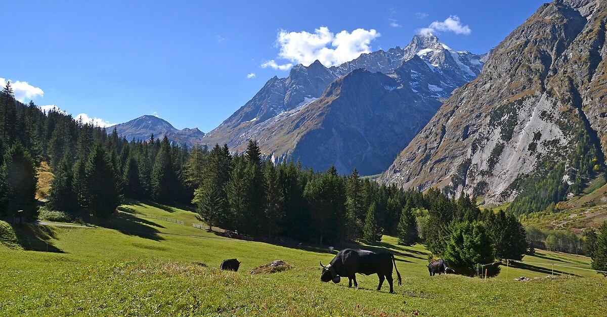 N 39 Chemin Des Places BERGFEX Wanderung Tour Wallis