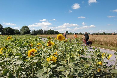 Binnenland Schleswig-Holstein