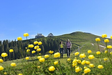 Jakobsbad - Kronberg