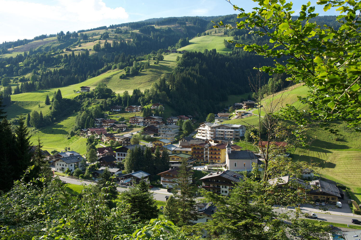 Viehhofen