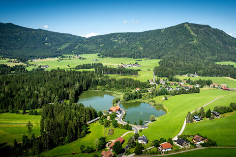 Vogelperspektive Grasluppteich