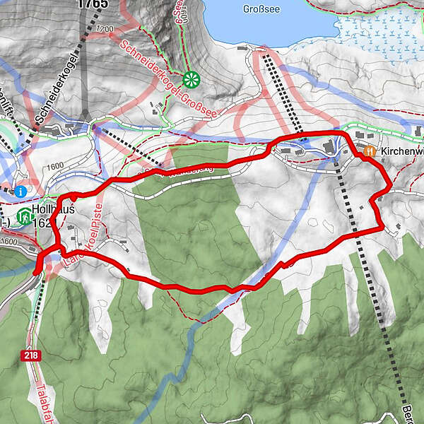 Kleine Runde über den Waldweg Steiermark Österreich BERGFEX Hiking