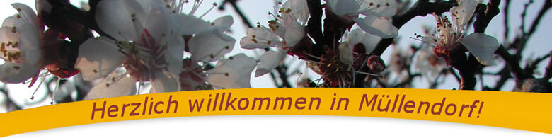 Müllendorf