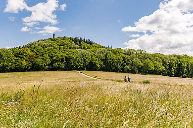 Altenberg