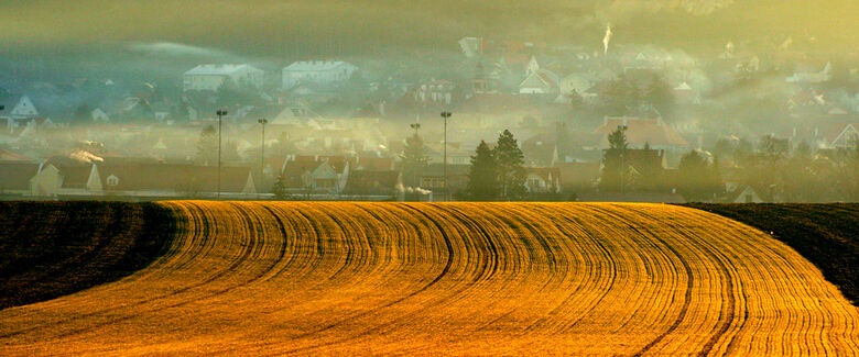 Mannersdorf am Leithagebirge