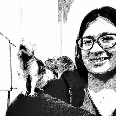 Avatar fra Verena Török