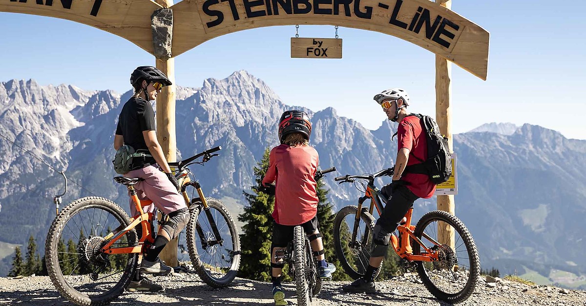 BERGFEX-Sehenswürdigkeiten - The Epic Bikepark Leogang - Leogang ...