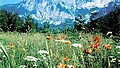 Sommarregion