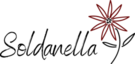 Logotyp Ferienwohnungen Grächen
