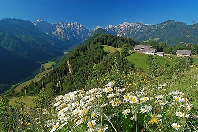 Savinjska