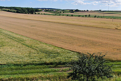 Stronsdorf