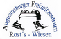 Logotip Teambewerb Skisport Sachsen 2013