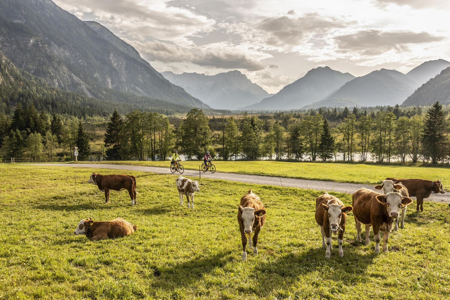 Zugspitz Region