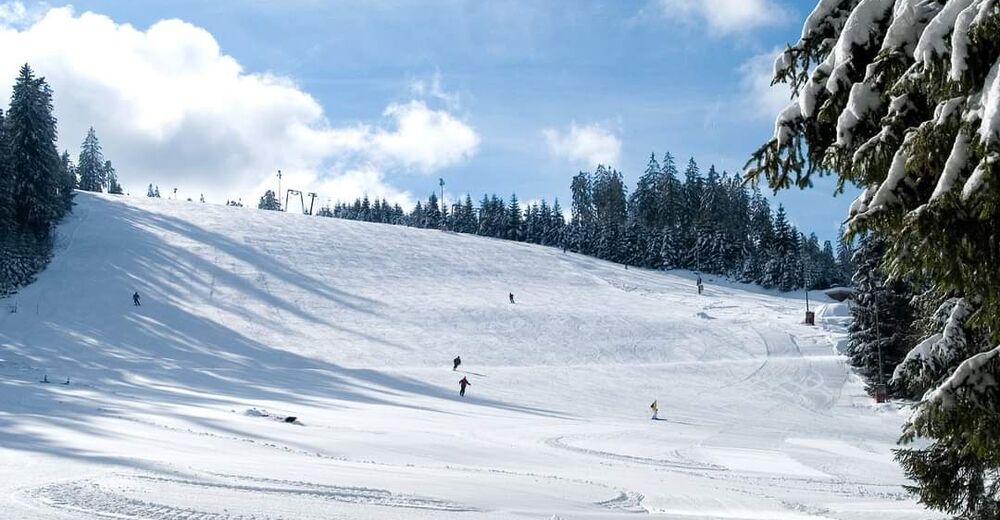 Pisteplan Skigebied Kaltenbronn