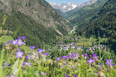 Hinterpasseier