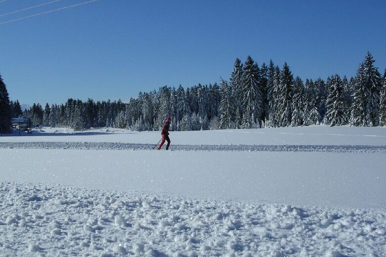 Thalgau