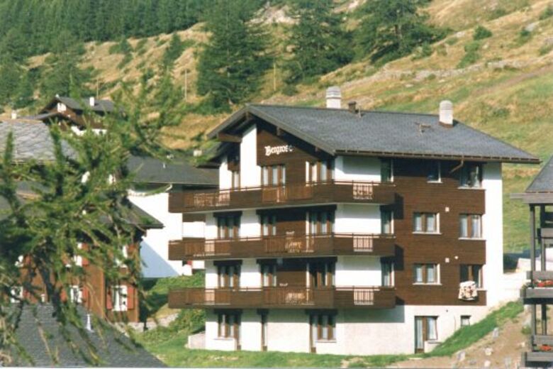 Bergrose