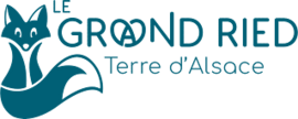 Logo Canton d'Erstein