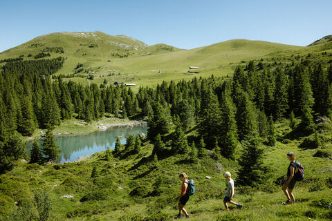 Wandern auf der Elsigenalp | Metschalp