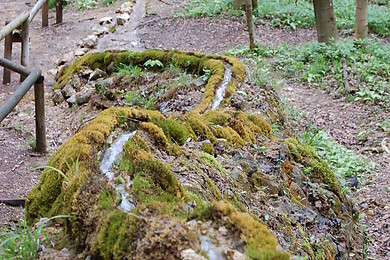 Meinheim
