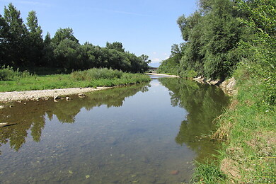 Schwarzau am Steinfeld