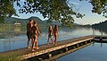 Región de verano
