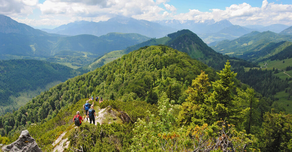 BERGFEX-Sehenswürdigkeiten - Naturparadies Nationalpark Kalkalpen ...