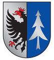 Логотип Sauwald-Haugstein